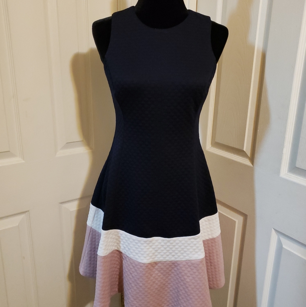 Eliza J Sleeveless, Fully lined, Fit and Flare, Knee Length Dress